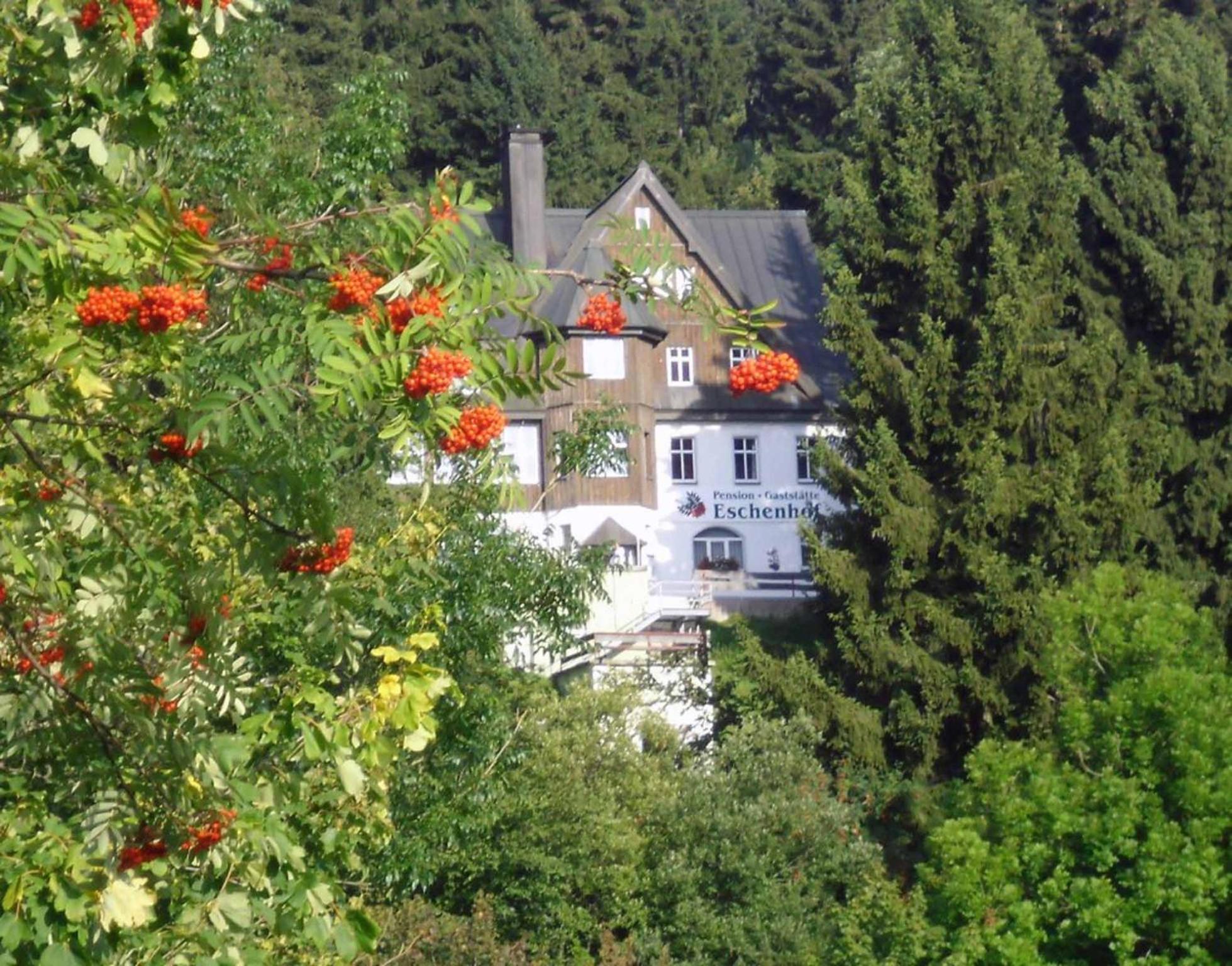 Pension Und Gaststaette Naturbaude Eschenhof Oberwiesenthal Exterior foto